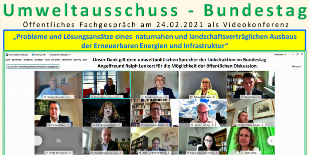 Vorsitzende diskutiert im Umweltausschuss des Bundestages zu Erneuerbaren Energien
